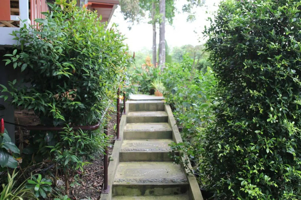 Krabi Ava Hill
