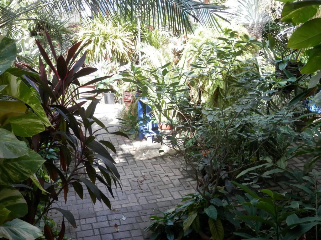 Hidden Eden