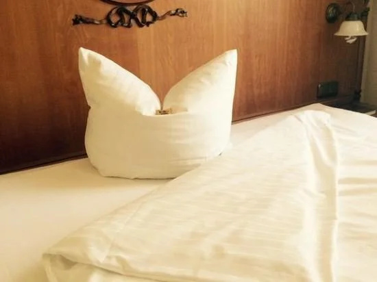 Hotel Goldner Loewe