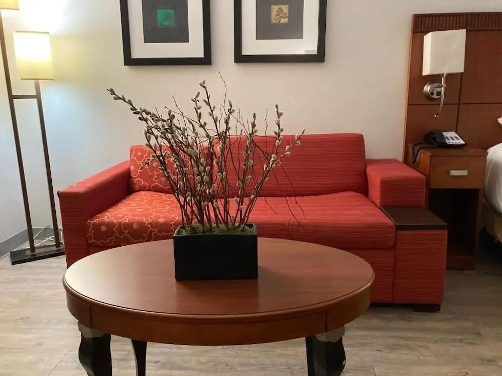 The Hotel Orange