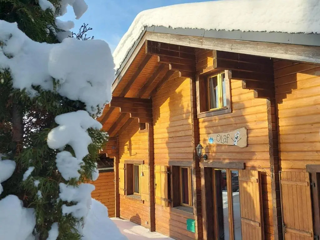 Chalet Les Gets, 4 pièces, 8 personnes - FR-1-623-310