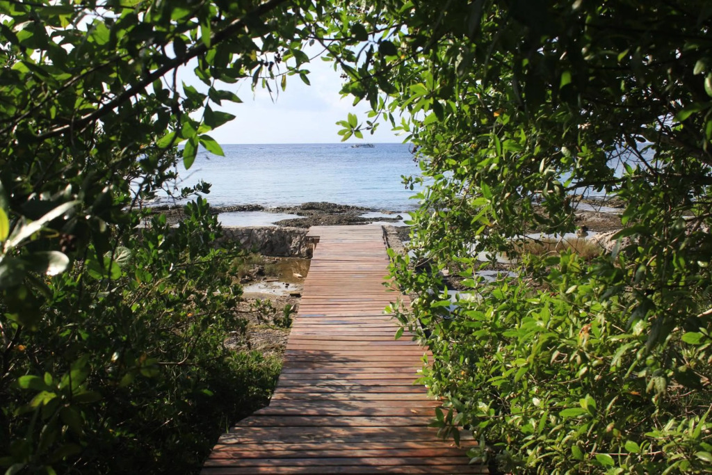 Casona de Cozumel - Most Beautiful Sunsets - Casa #10