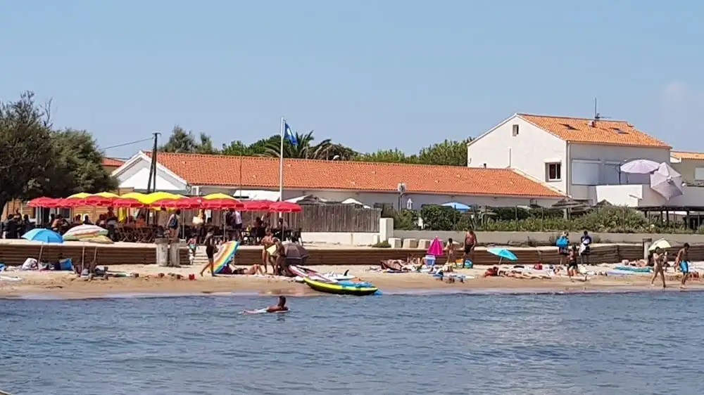 Au Grand sud