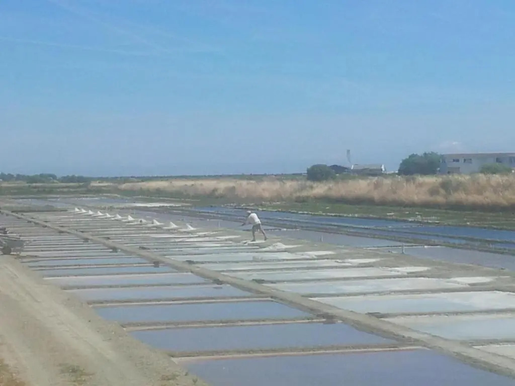 La Passerose 3 pièces avec jardin au calme,à 300m de la plage