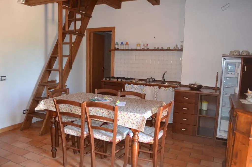 Il Vigneto