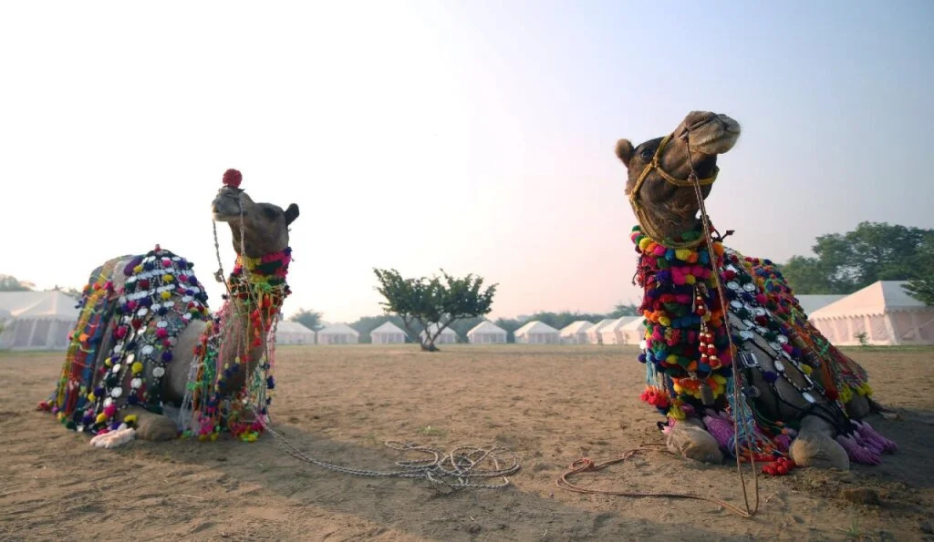 Karni Desert Camp