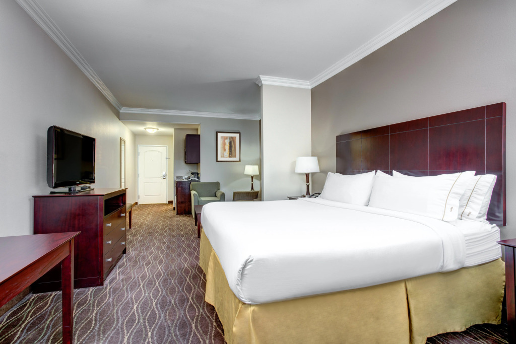 Holiday Inn Express & Suites - CUT OFF GALLIANO by IHG
