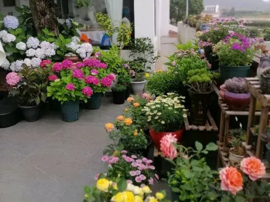 Wenhai Guesthouse