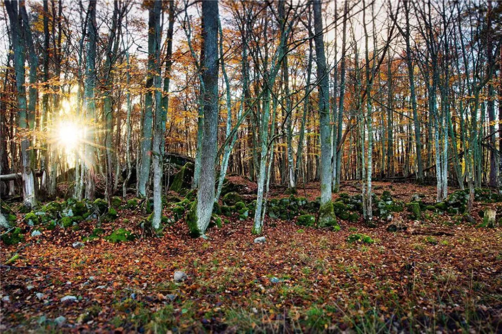 Eriksberg Hotel & Nature Reserve