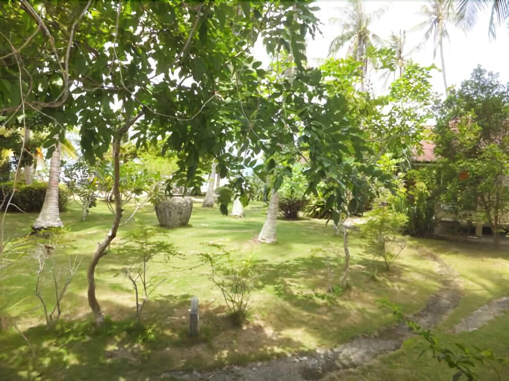 My Phangan Resort