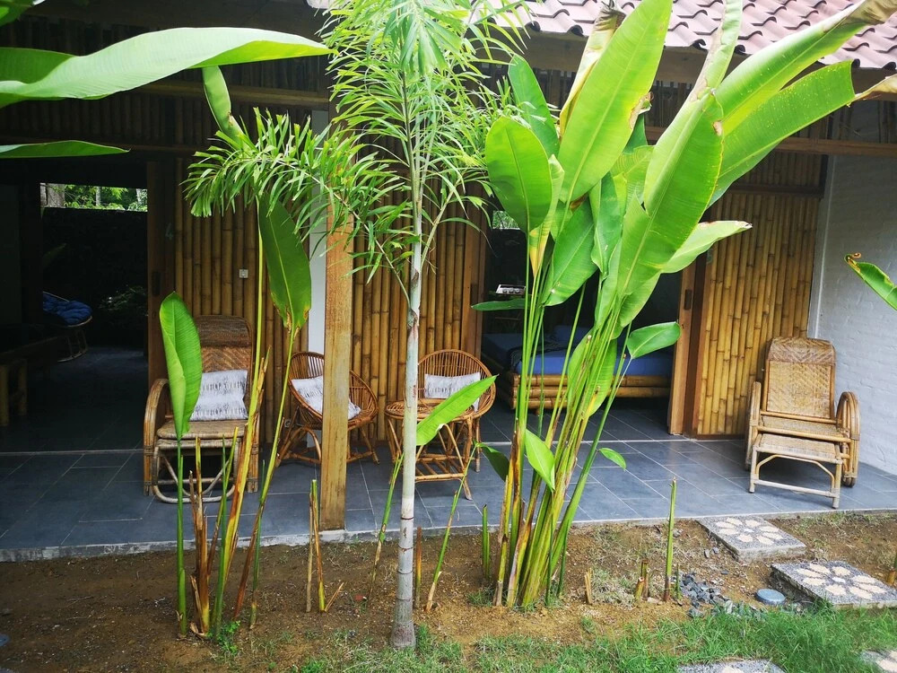 Lombok Pool House
