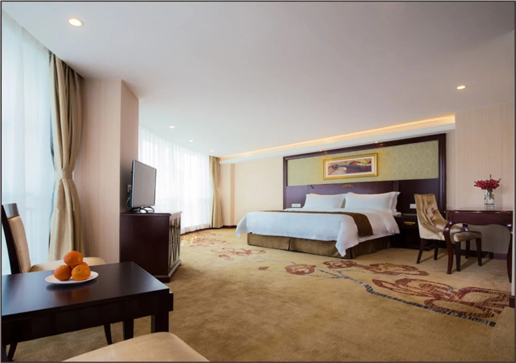 Vienna Hotel Heyuan Hongxing Road Branch