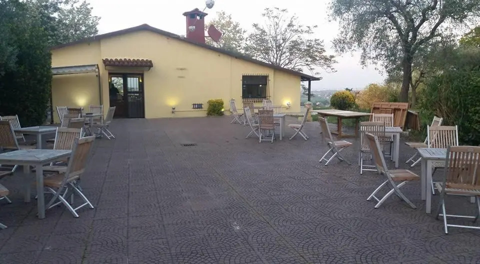 Gli Ulivi del Monte