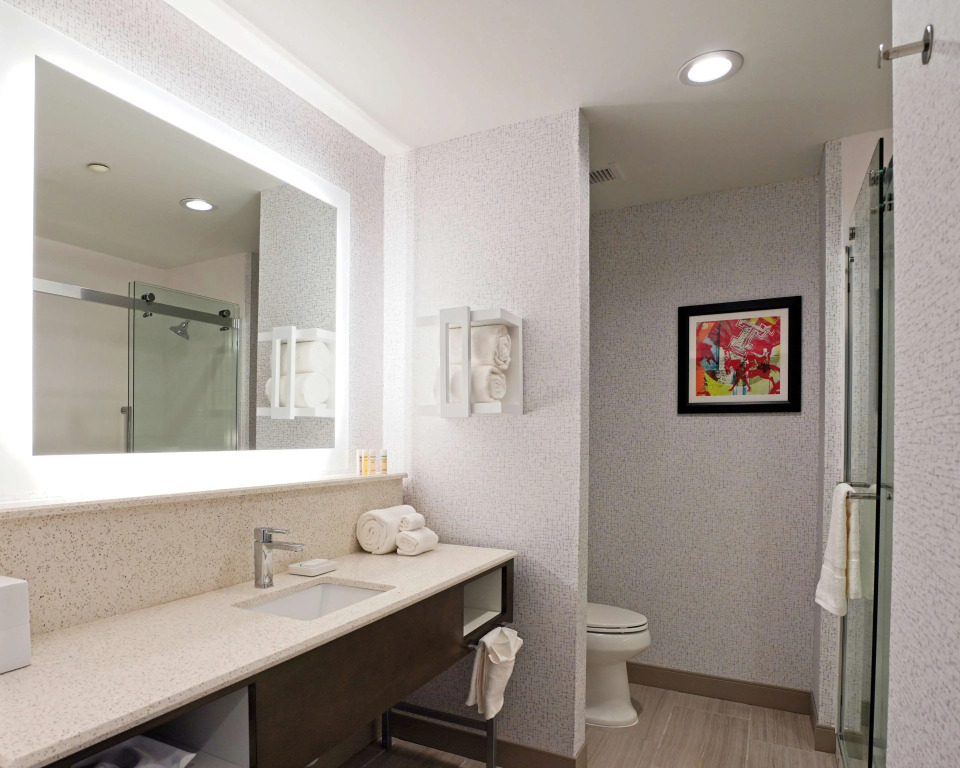 Hampton Inn & Suites Lubbock University, Tx