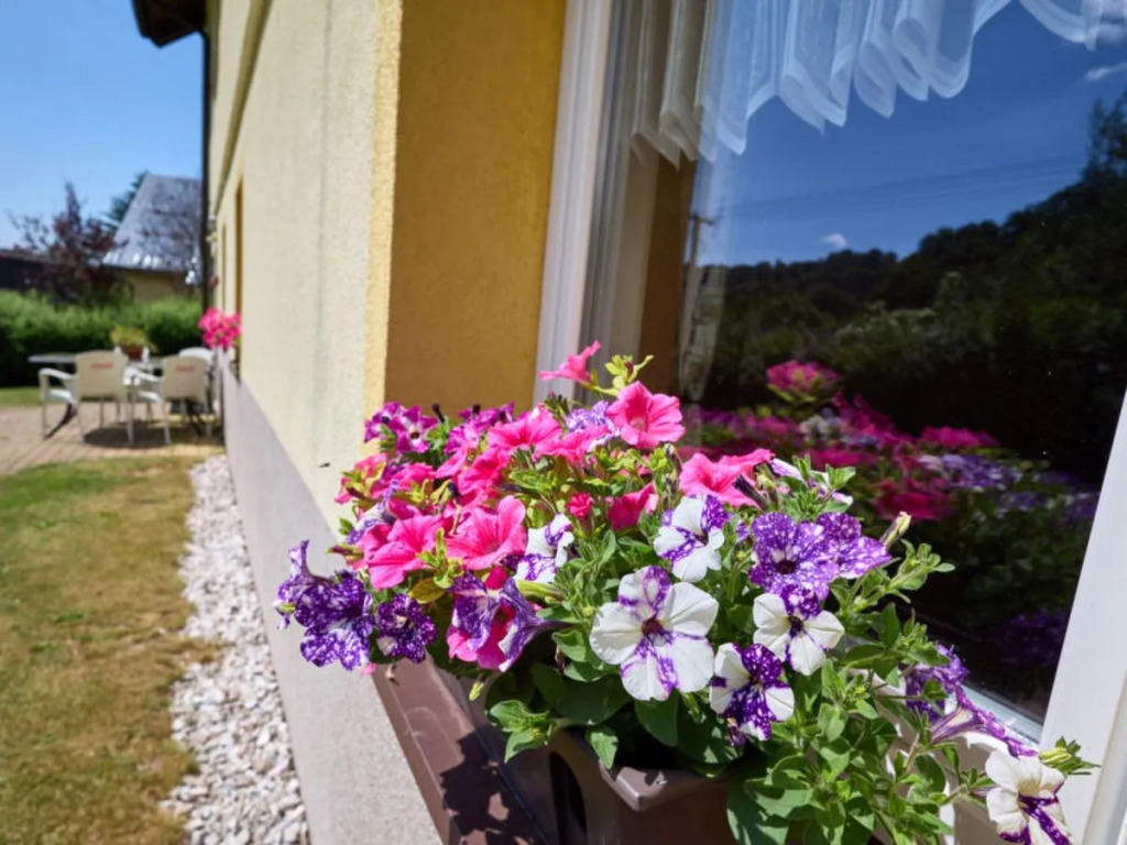 Apartment Horská Horní Maršov