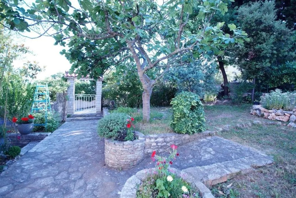 Apartments Pimpinella