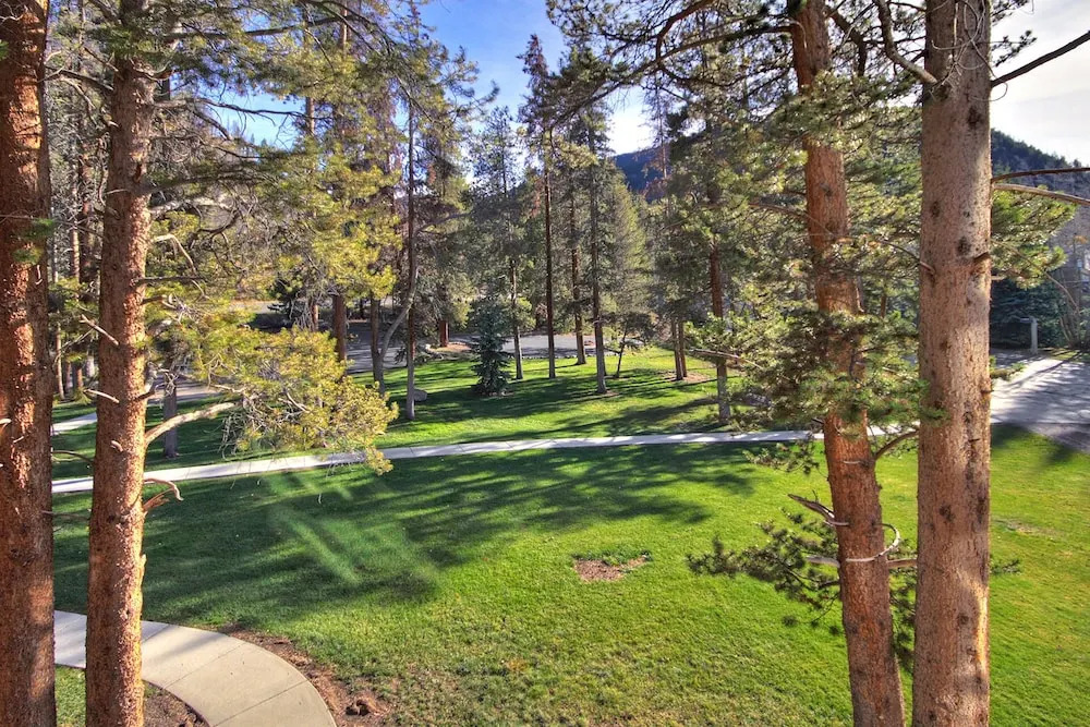 1926 Soda Springs Ii 3 Bedroom Townhouse by RedAwning