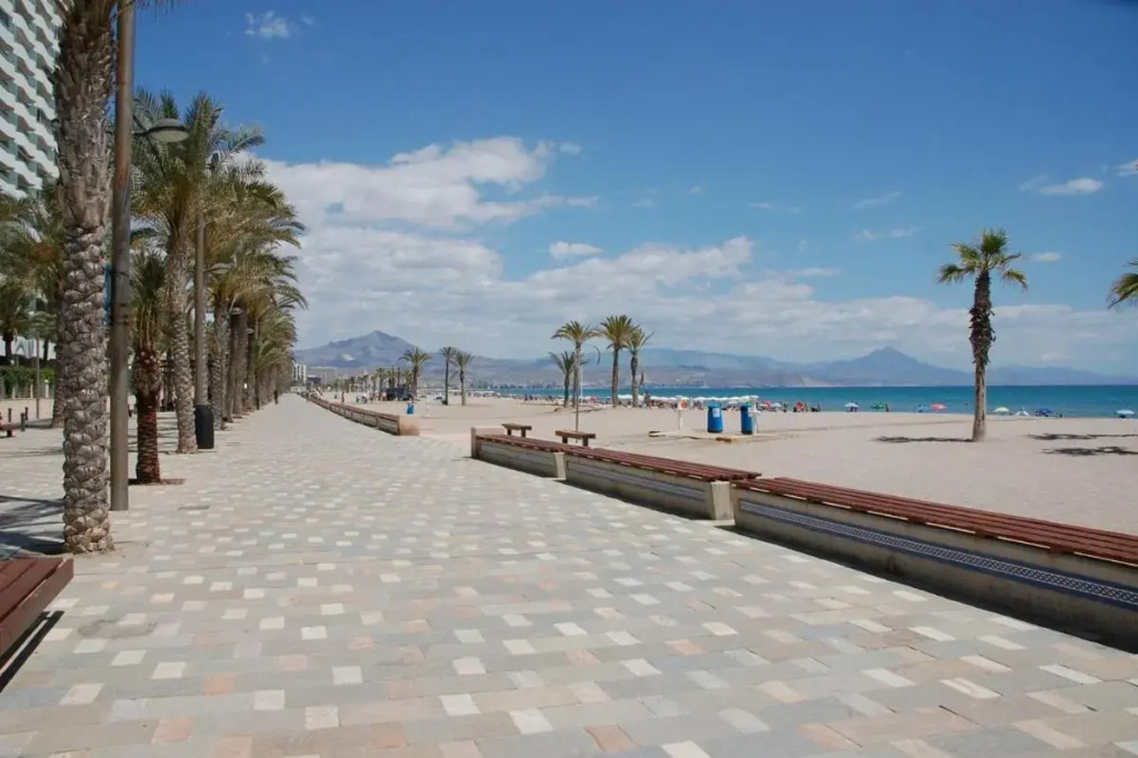 Playa Muchavista lovely ground floor apartment