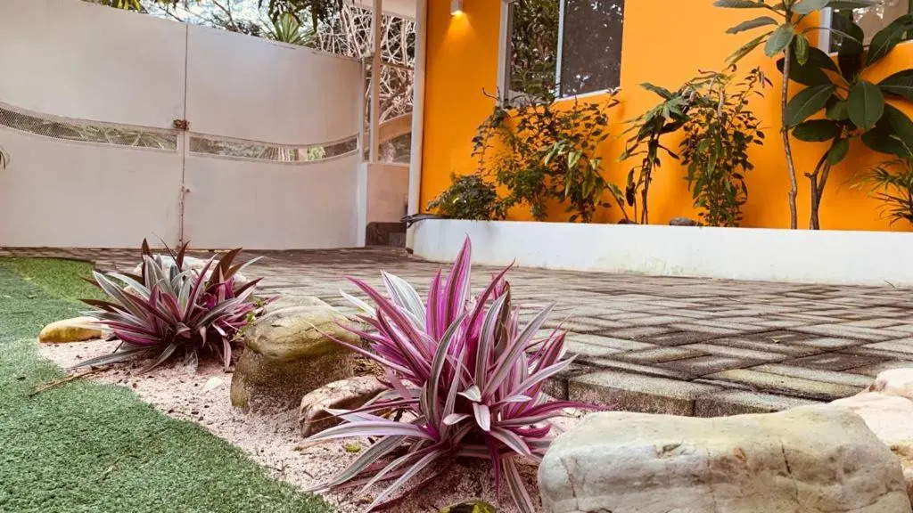 Casa Luna