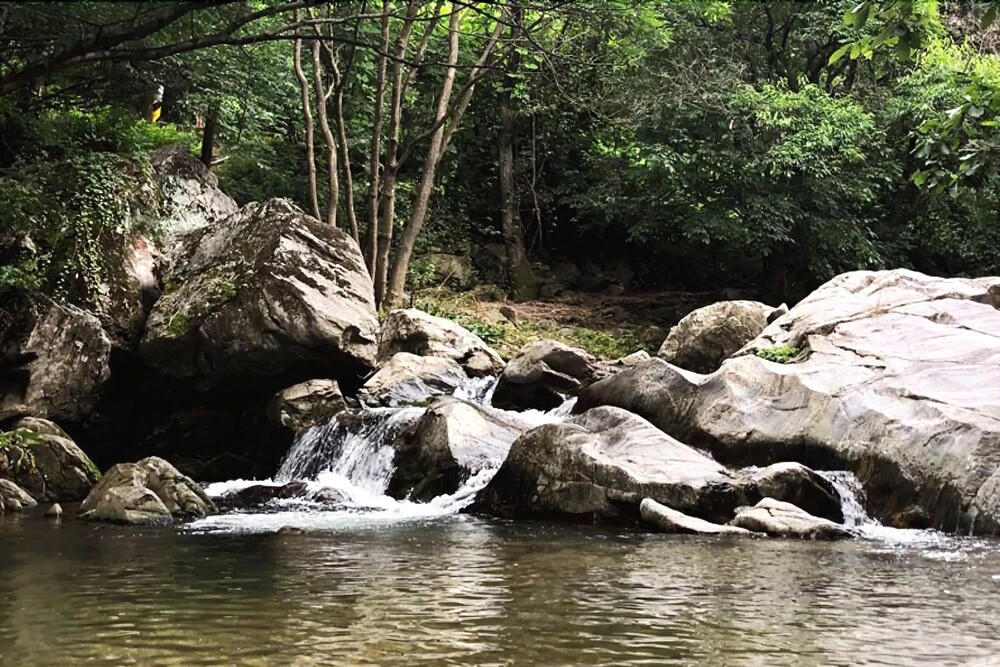 Yangpyeongwhite Tree Pension
