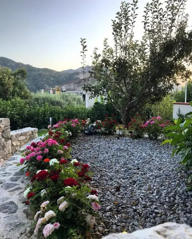 LA PERGOLA - Affitta Camere