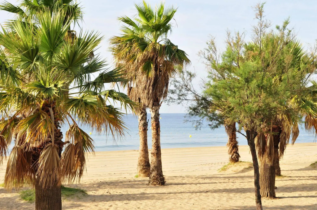 Hôtel Club Vacanciel Port Fréjus