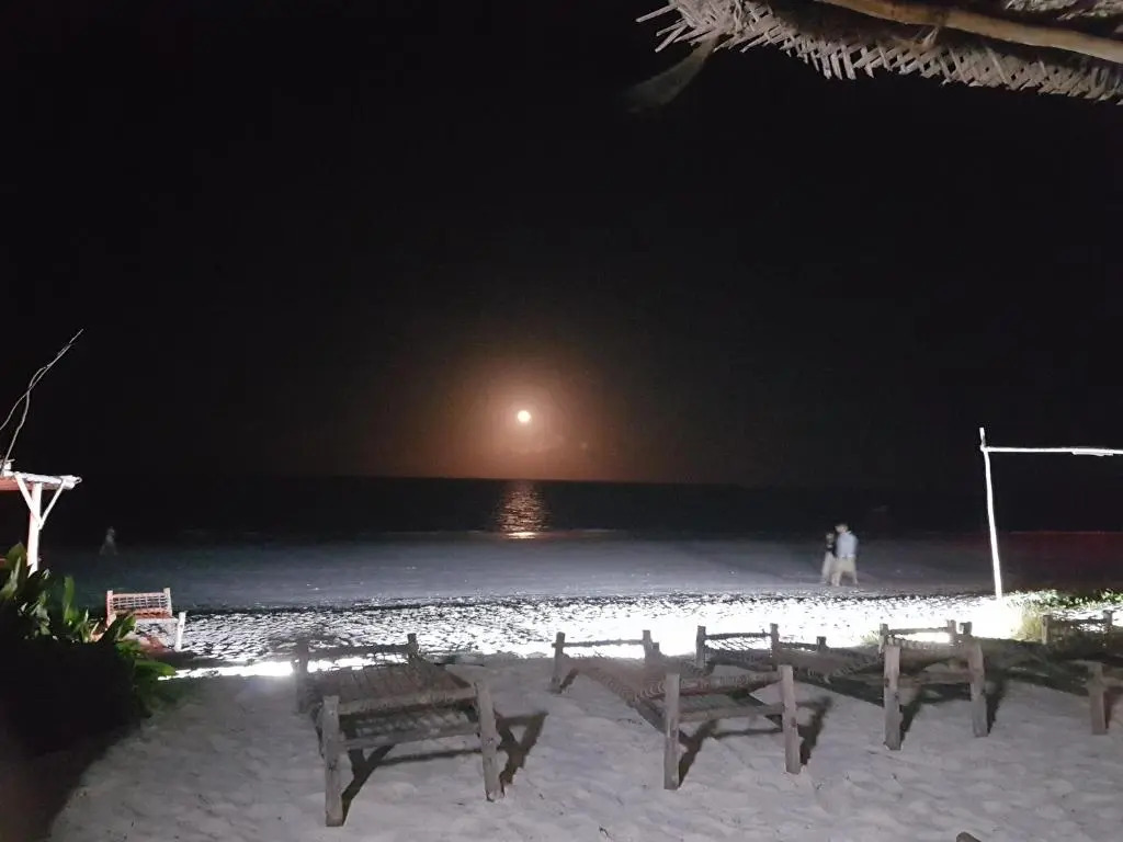 Drifters Zanzibar