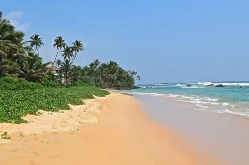 Placid Beach