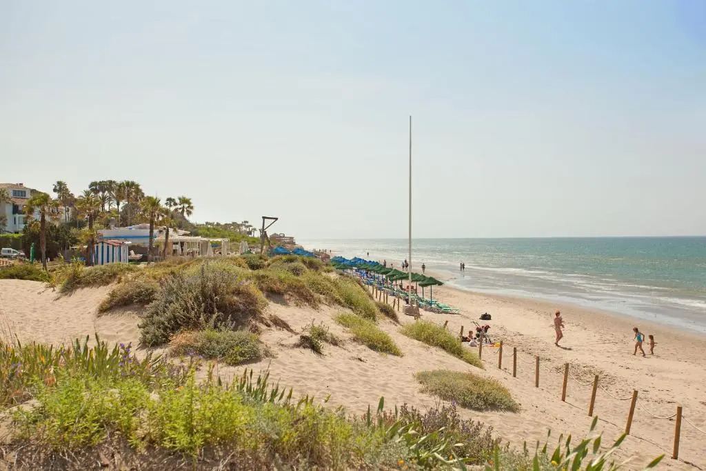 Romana playa 724