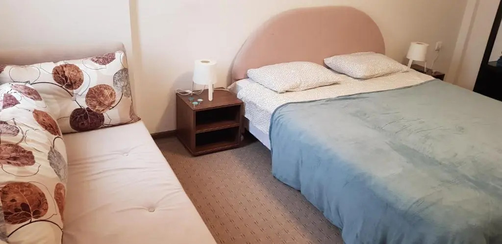 Dobricin konak, Apartman 202