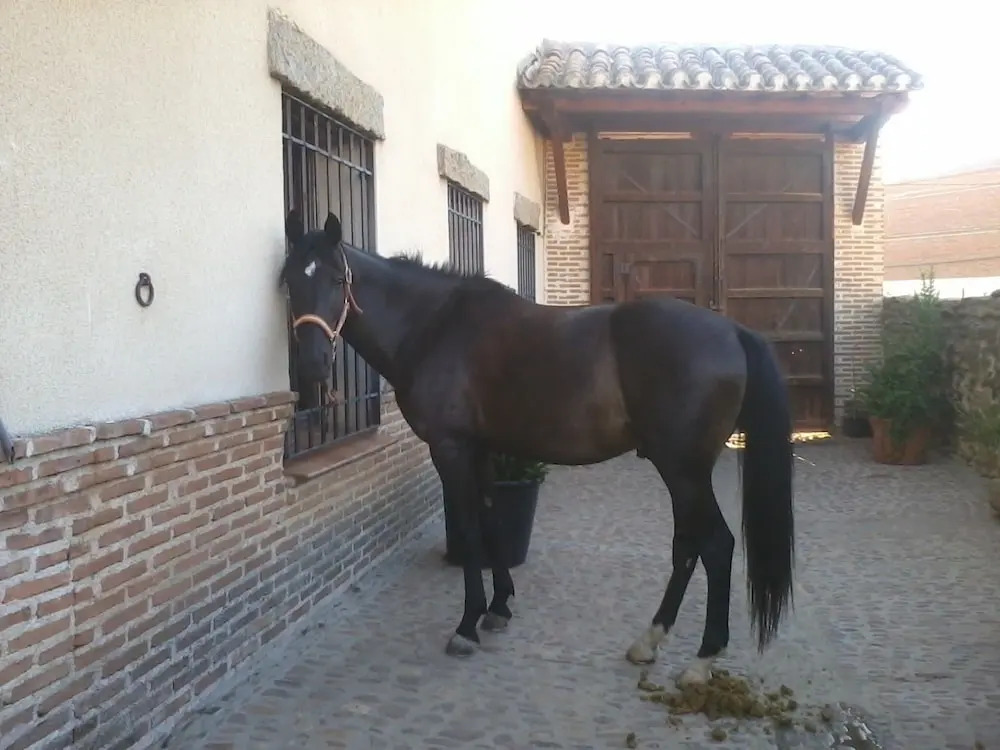 Casa Rural La Era