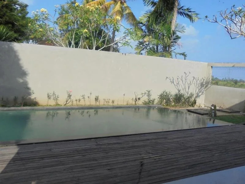 The Puri Shanti Villas