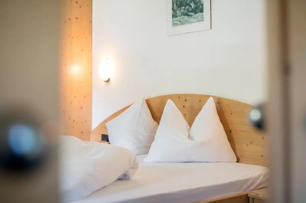 Hotel Alpin