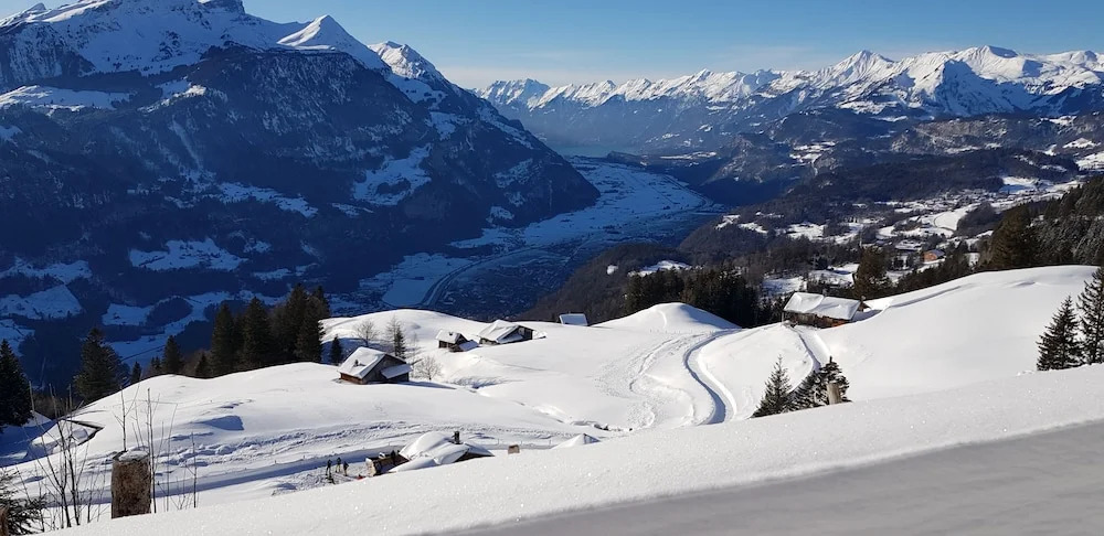 Pension Chalet Berkana