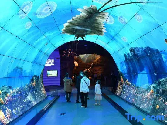 Fuxian Lake Yueshan Yueshui Meisu Happy World Store)