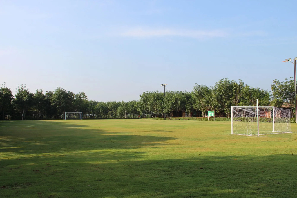 Singha Rubber Tree Kanchanaburi