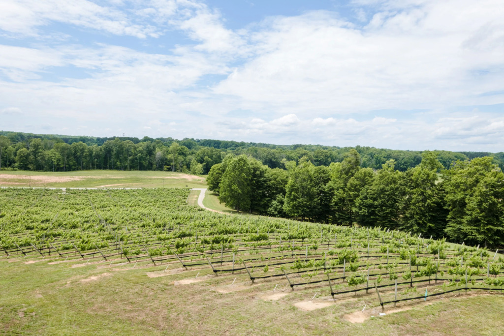 Holiday Inn Express & Suites Lexington North West-The Vineyard by IHG