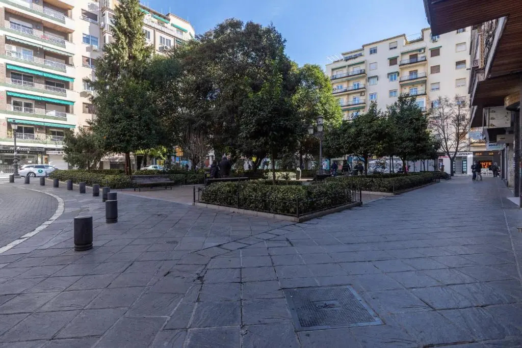 Precioso y Céntrico Apartamento Gran Capitán 5