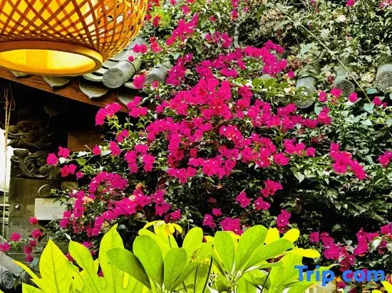 Drunk in the flowers