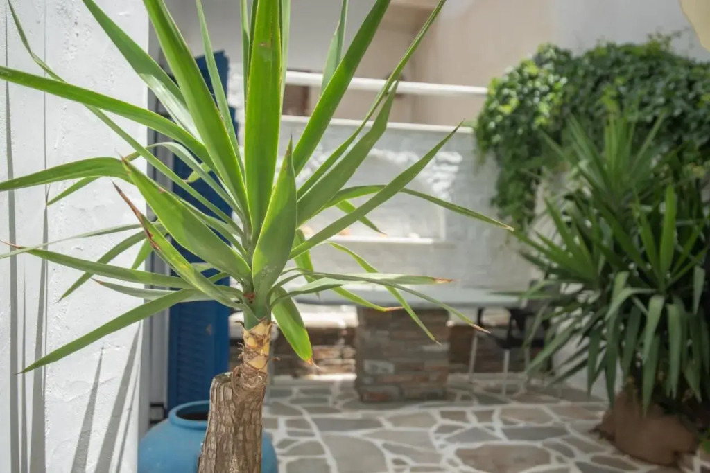 Studios Alsos