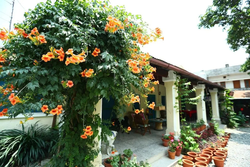 Old British House