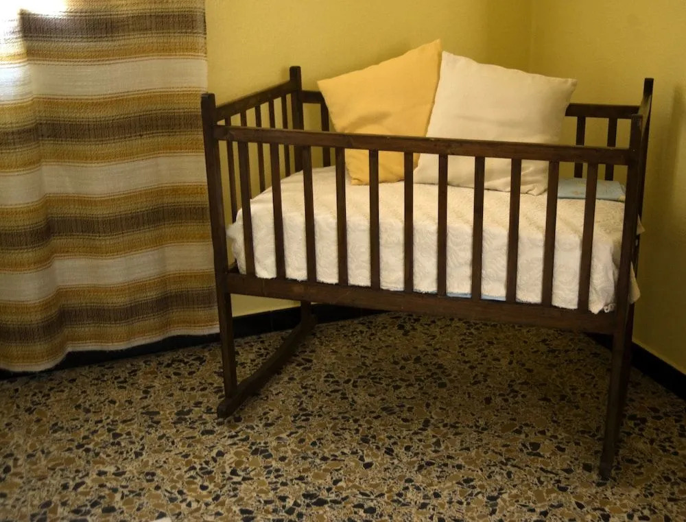 LAgrifoglio di Emy