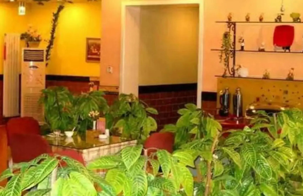 Home Inn