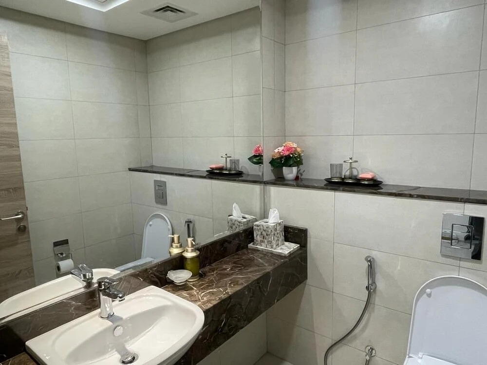 315 Fully furnished 1BHK Apartment