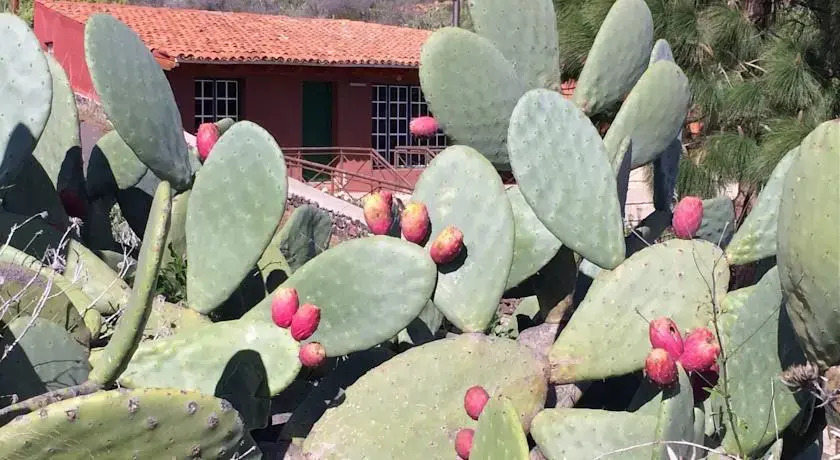 El Cuarto de Aperos