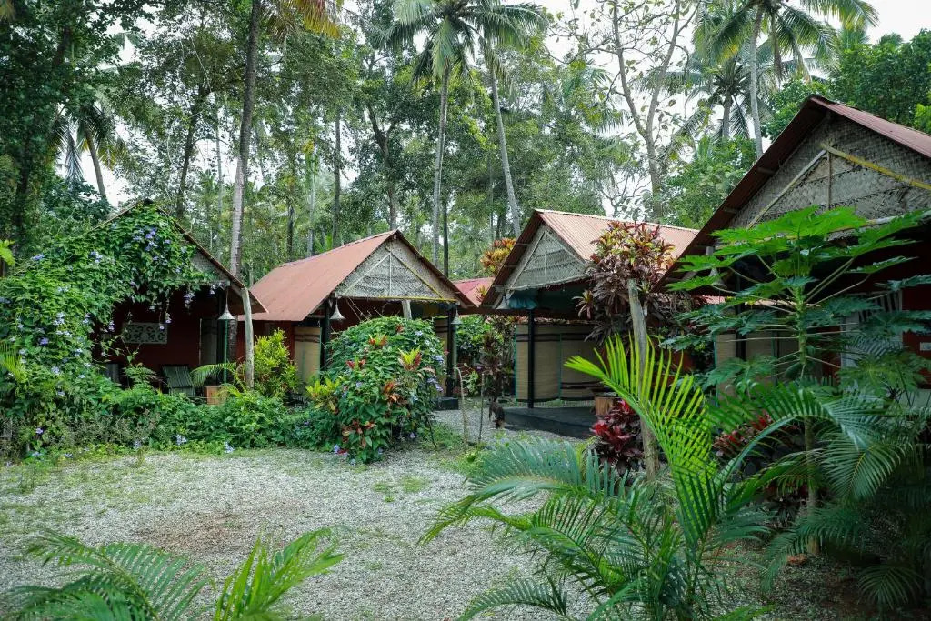 The cliff cottage varkala