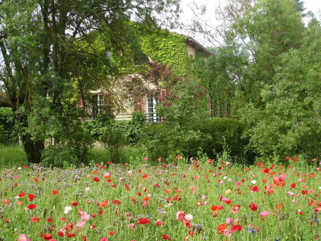 Une Campagne En Provence