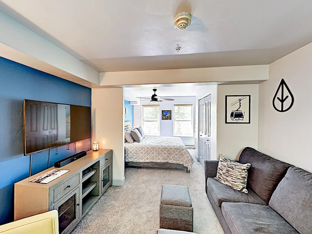 New Listing! Renovated Studio W/ On-site Gondola Studio Bedroom Condo