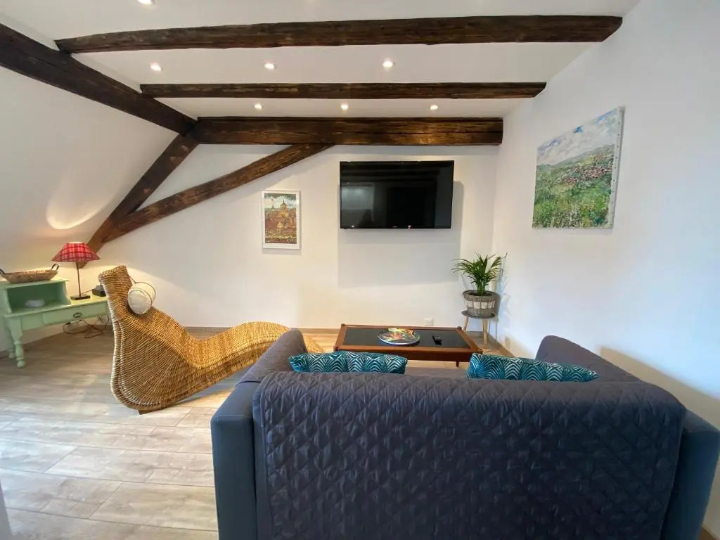 LOurs de Colmar - Appartements en centre ville