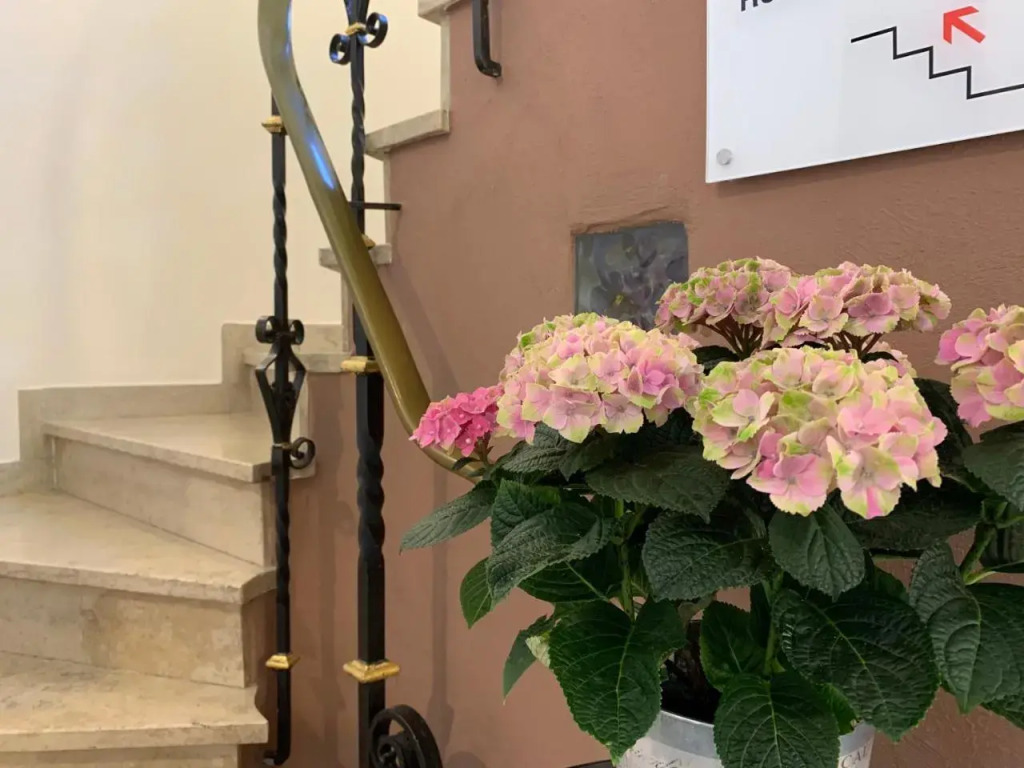 Hotel Mille Stelle